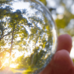 Screenshot 2025-03-05 at 10.19.07 AM